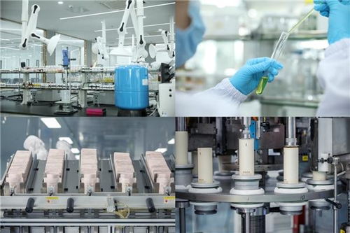 袋鼠妈妈天然国度 以创新服务与尖端技术，铸就母婴行业领导品牌