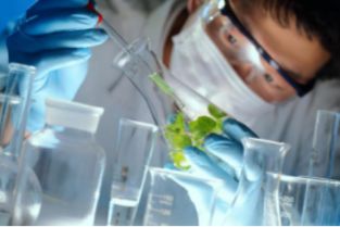 重庆市生物技术研究所 草本营养产品的科学引擎