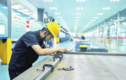 新荣区谱写高质量发展精彩华章